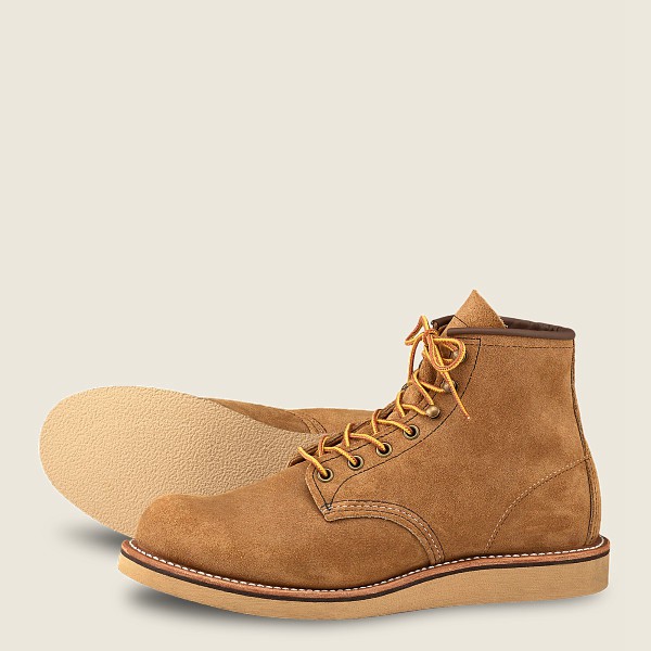 Bottes Red Wing Heritage - Rover - 6-Inch Muleskinner Cuir - Orange - Homme 974XKYRDE